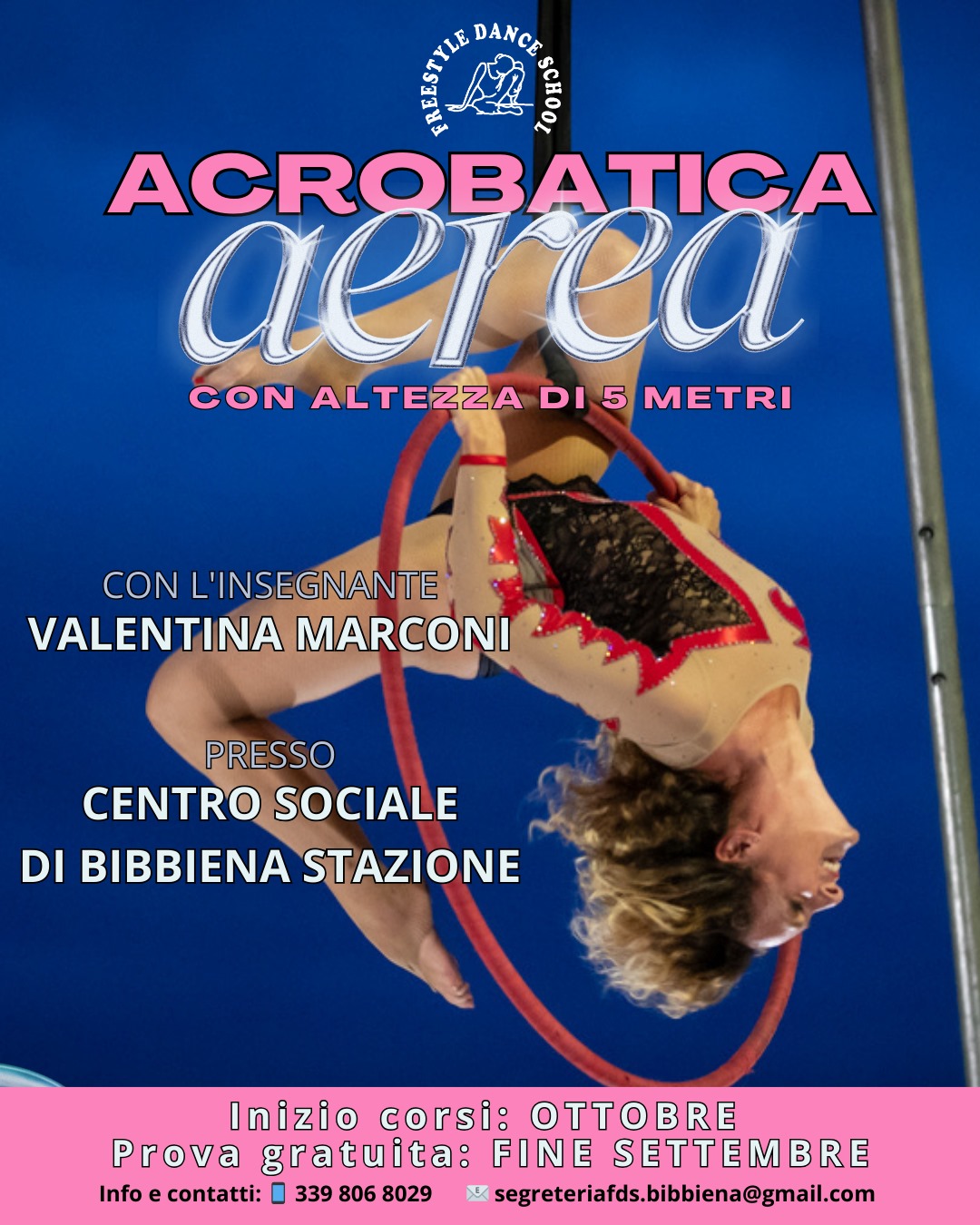 Danza aerea danza palo